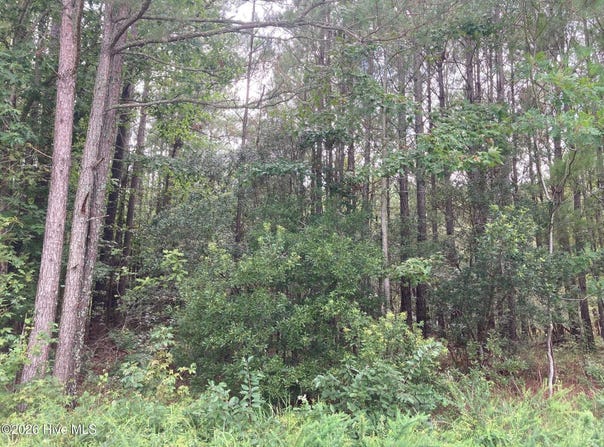 33 Pine Crest Road, Bath, NC 27808