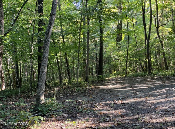 Conner Rd, Powell, TN 37849