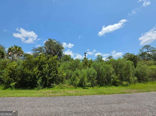 902 Riverview E Drive, St. Marys, GA 31558