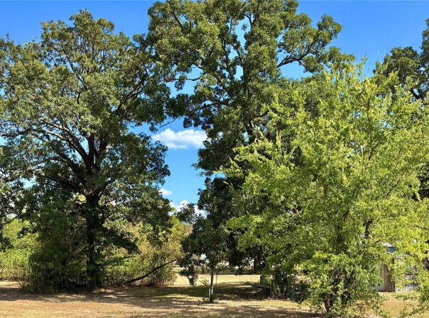 169 Navajo, Quitman, TX 75783