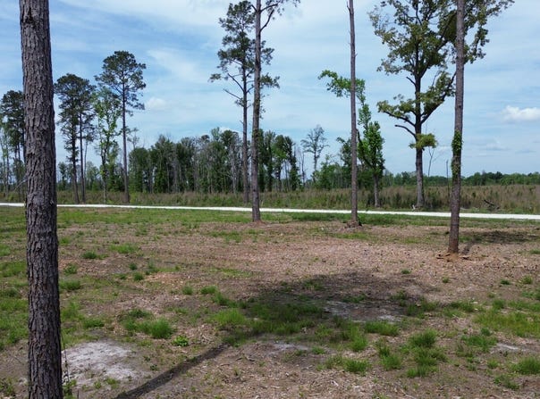 2 Pecan Grove, Holly Hill, SC 29059