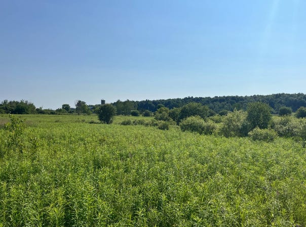Austin Road #7, Antwerp, NY 13608