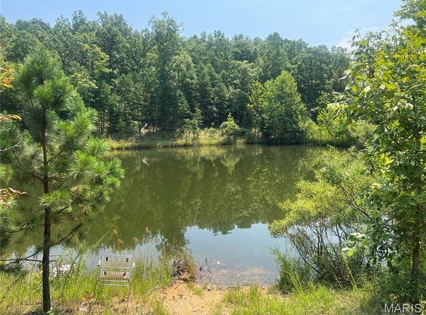 County Road 341, Piedmont, MO 63957