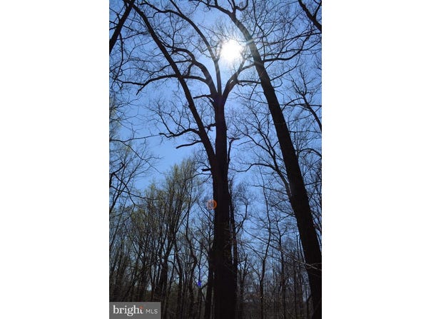 DOVER Road, GLYNDON, MD 21071