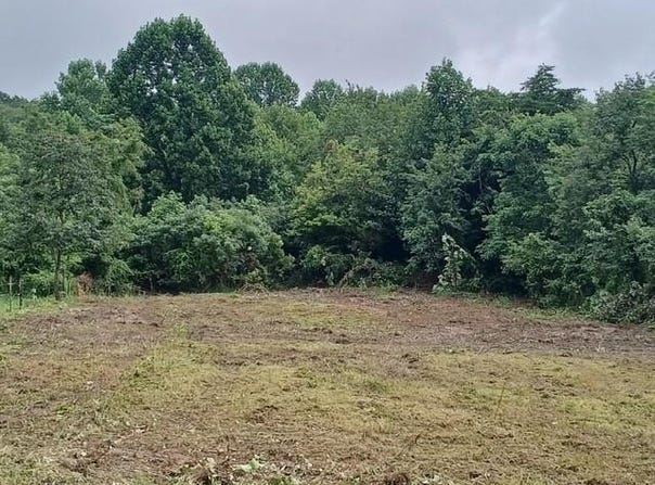 4821 Goddard Rd., Wallingford, KY 41093