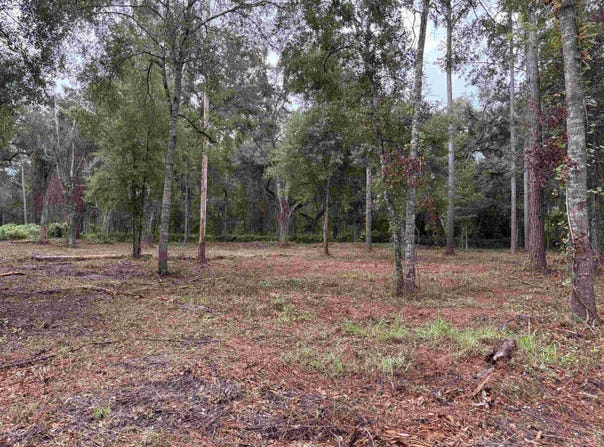 1602 Walker Springs Rd., Monticello, FL 32344