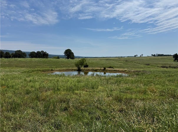 TBD Tract 2 Llewellyn Loop lot: 2, Hector, AR 72843