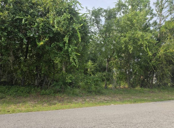1567 E Cleveland St, Hernando, FL 34442