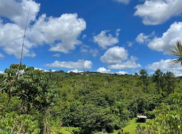 Barranquitas, Barranquitas, PR