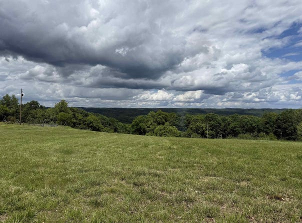 1366 Holmes Road, Mountain View, AR 72560