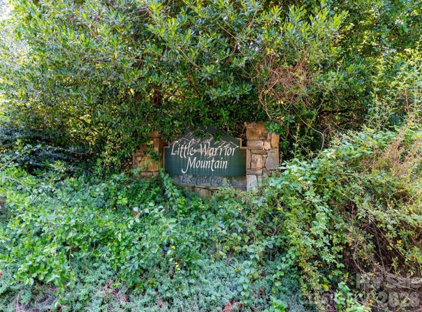Rhododendron Drive, Saluda, NC 28773