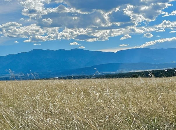 5897 Amanda Lane, Rye, CO 81069