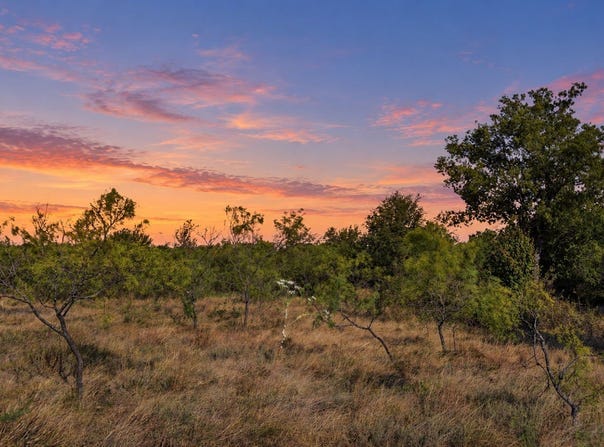 Twisted Creek Ranch lot: 46, Gustine, TX 76455