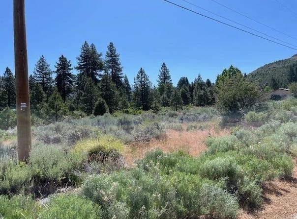 556 Longhorn Drive, Loyalton, CA 96118
