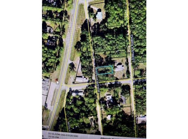 Alapaha Avenue, Panacea, FL 32346