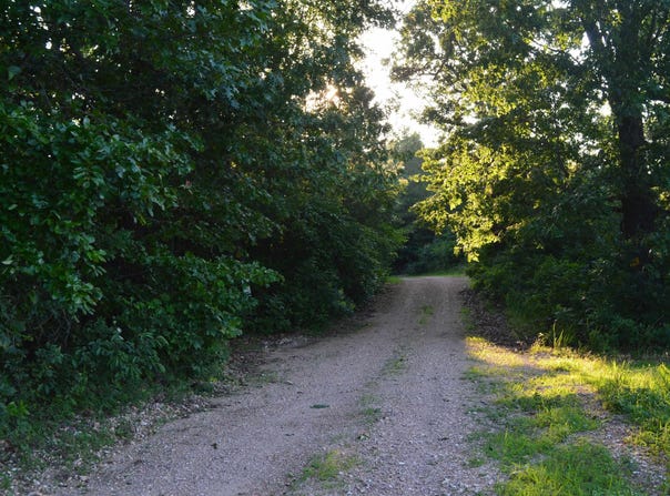 Schnauzer Ln, Harriet, AR 72639