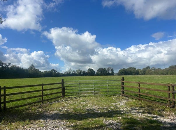 Gaulstown, Drumree,