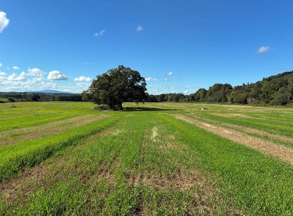 Killurney, Clonmel, E91 T680