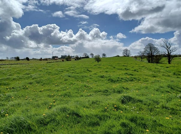 0.69 Acre Site With F.P.P, Clooneen, Dunmore,