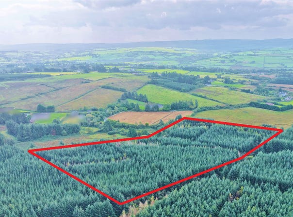 Meenkilly, Abbeyfeale,