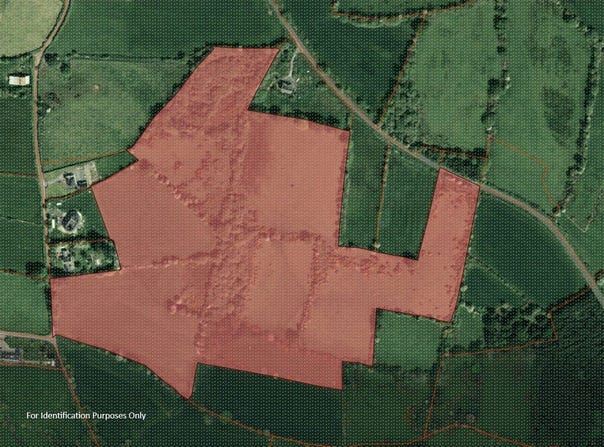 Lands Miltown, Graiguenmanagh, Borris, Borris,