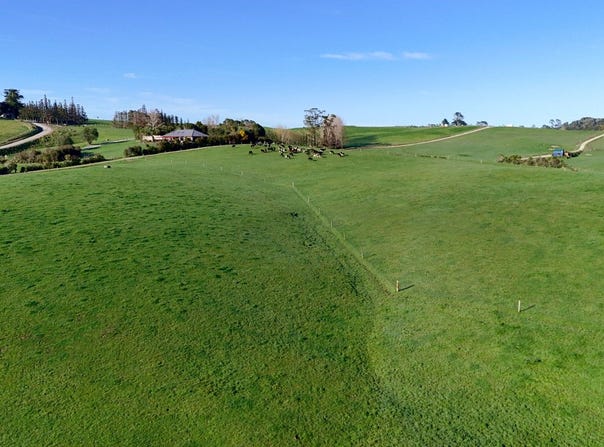 26 Bailey Road, Wellsford, Rodney