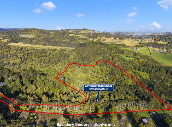 167 Caton Road, Waitakere, Waitakere City