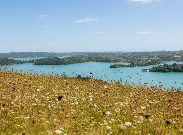 36 Vintage Lane, Waiheke Island, Waiheke Island