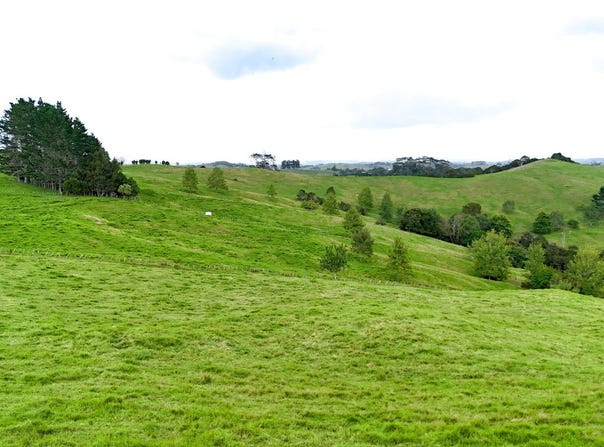 Williamson Road, Wellsford, Rodney
