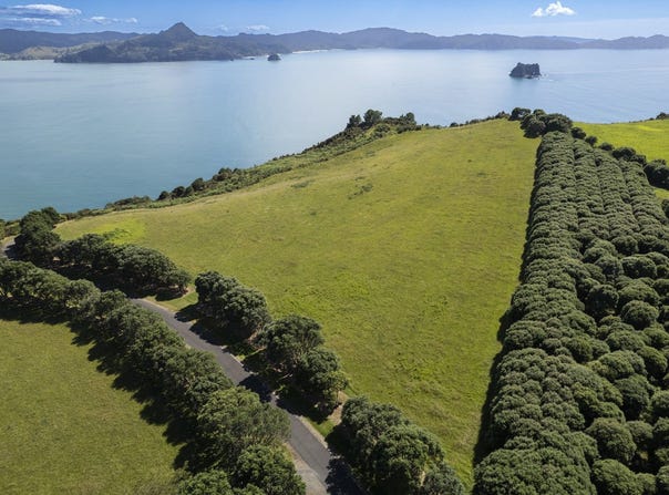 398E Lees Road, Hahei, Thames-Coromandel