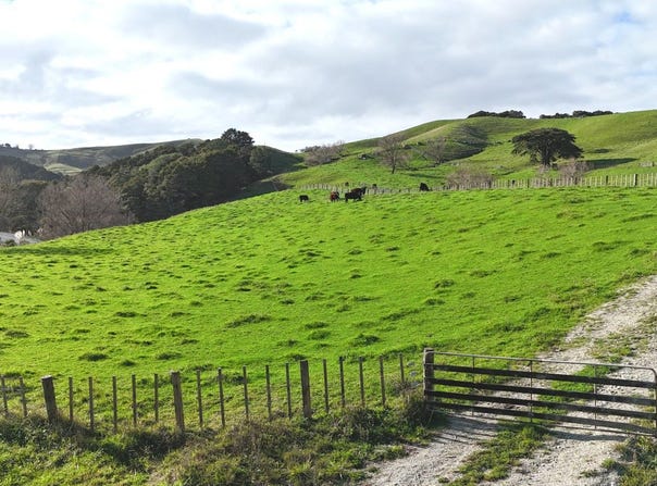 4326 Kaipara Coast Highway, Tauhoa, Rodney