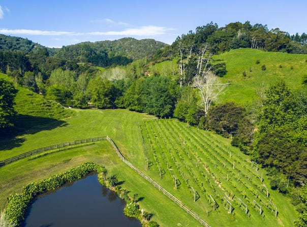 Clevedon, Manukau City