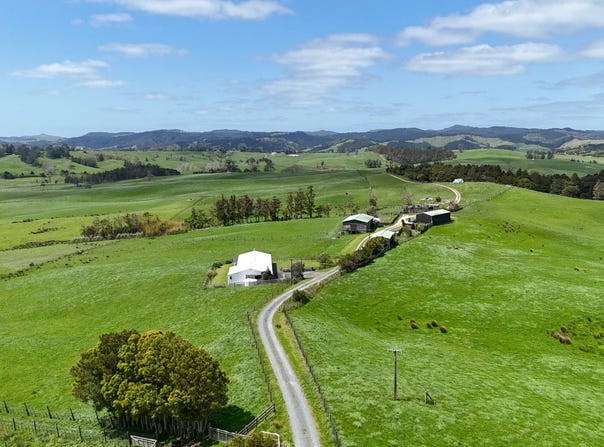 291 Prictor Road, Wellsford, Rodney