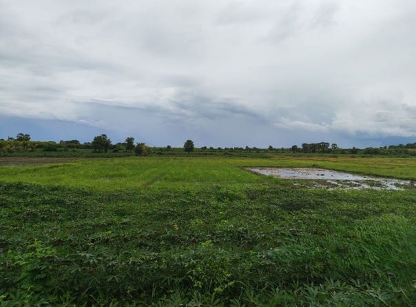 Ta Prok, Chamkar Leu, Kampong Cham