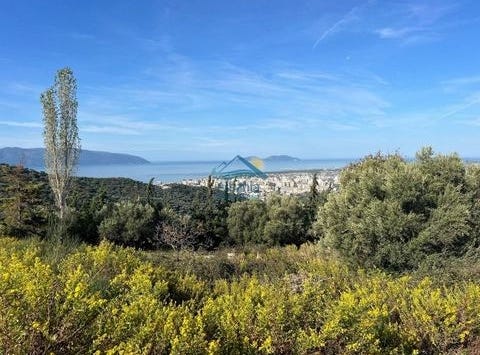 Vlorë, Vlorë