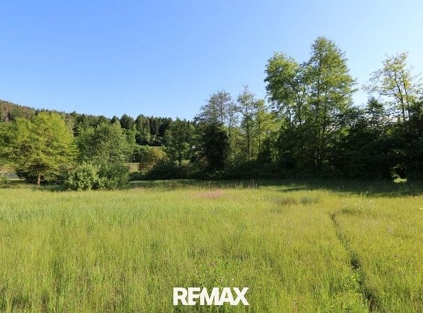 Reifnitz, Carinthia 9081