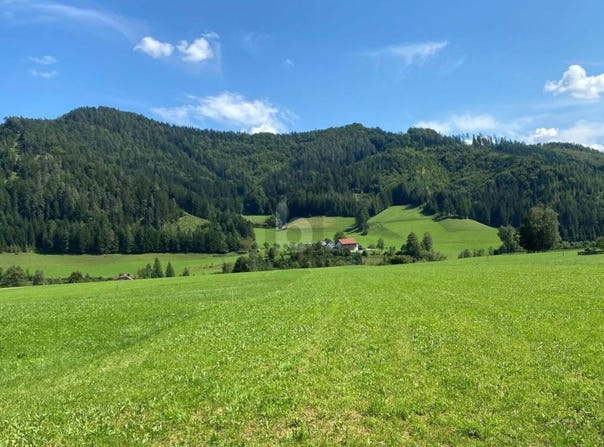 Weyer, Upper Austria 3335