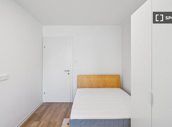 graz, Styria 8020
