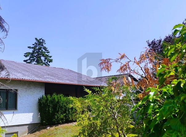 Sollenau, Lower Austria 2601