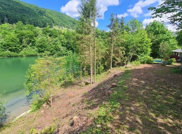 Losenstein, Upper Austria 4460