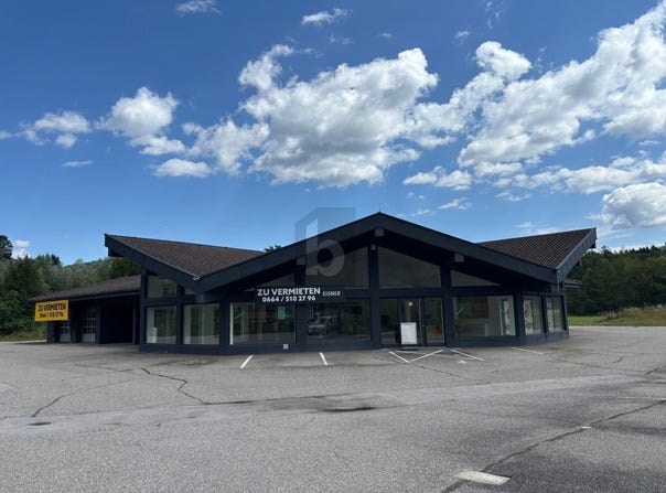 Sankt Veit an der Glan, Carinthia 9300