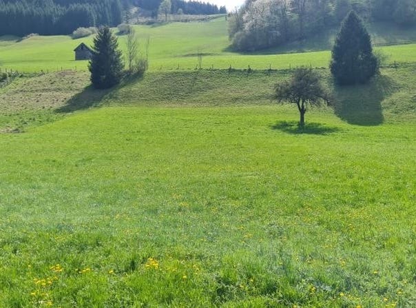 Großraming, Upper Austria 4463