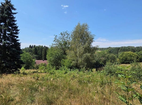 Pressbaum, Lower Austria 3021
