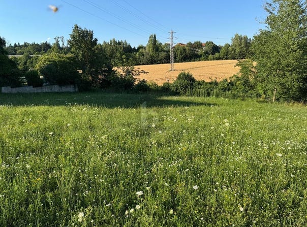 Wels, Upper Austria 4600
