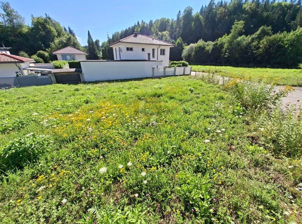 Klagenfurt-Wölfnitz, Carinthia 9061