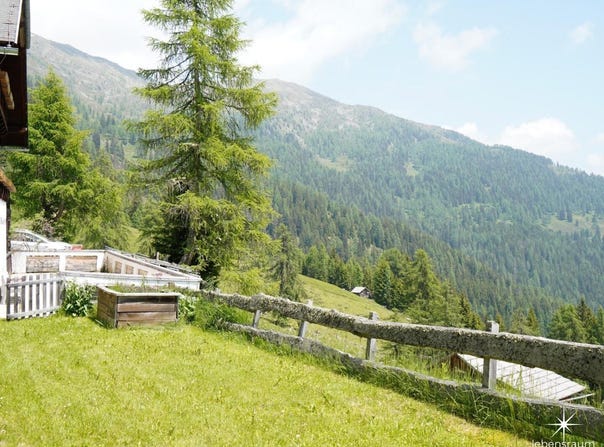 Berg im Drautal, Carinthia 9771