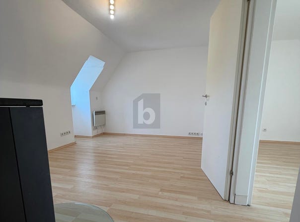 Enzesfeld-Lindabrunn, Lower Austria 2551