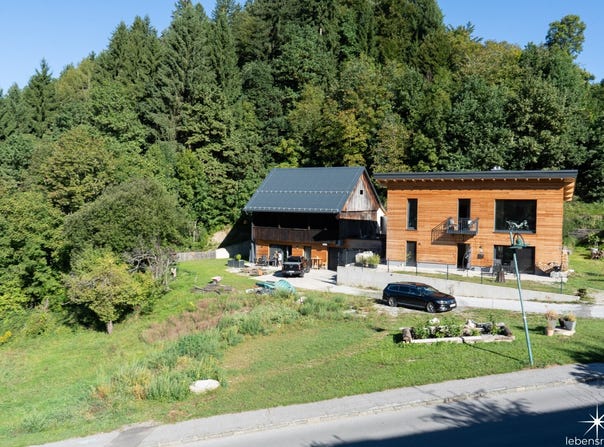 Oberaichwald, Carinthia 9582