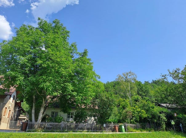 Payerbach, Lower Austria 2650