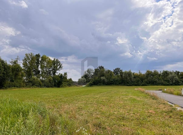 Taufkirchen an der Pram, Upper Austria 4775